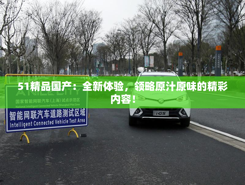 51精品国产：全新体验，领略原汁原味的精彩内容！