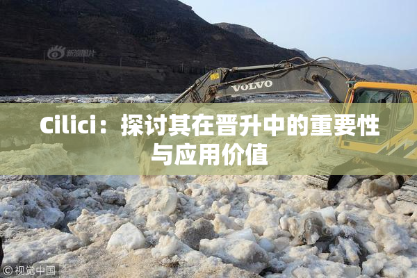 Cilici：探讨其在晋升中的重要性与应用价值