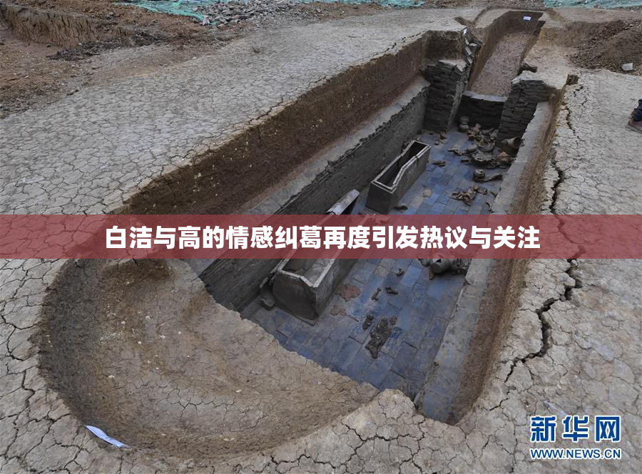 白洁与高的情感纠葛再度引发热议与关注