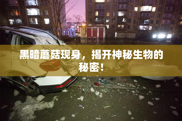 黑暗蘑菇现身，揭开神秘生物的秘密！