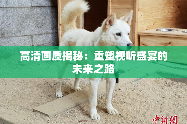 高清画质揭秘：重塑视听盛宴的未来之路