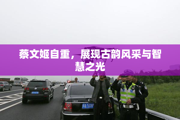 蔡文姬自重，展现古韵风采与智慧之光