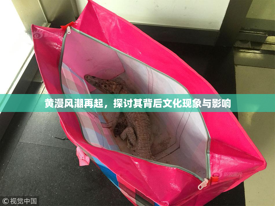 黄漫风潮再起，探讨其背后文化现象与影响