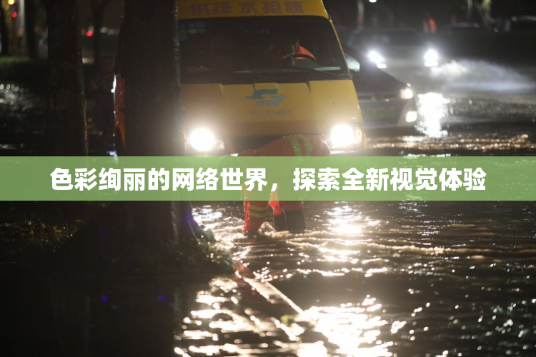色彩绚丽的网络世界，探索全新视觉体验