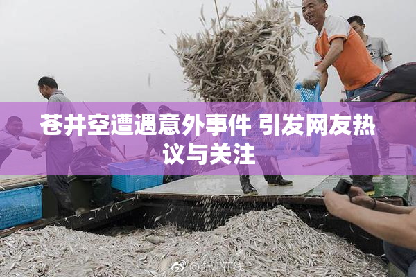 苍井空遭遇意外事件 引发网友热议与关注