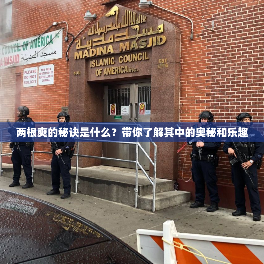 两根爽的秘诀是什么？带你了解其中的奥秘和乐趣