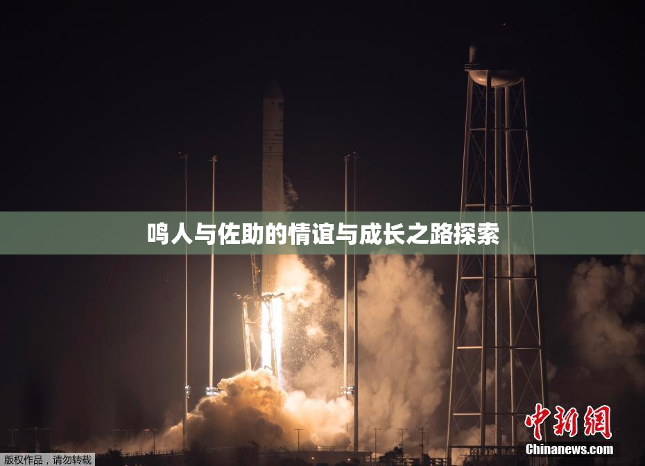 鸣人与佐助的情谊与成长之路探索