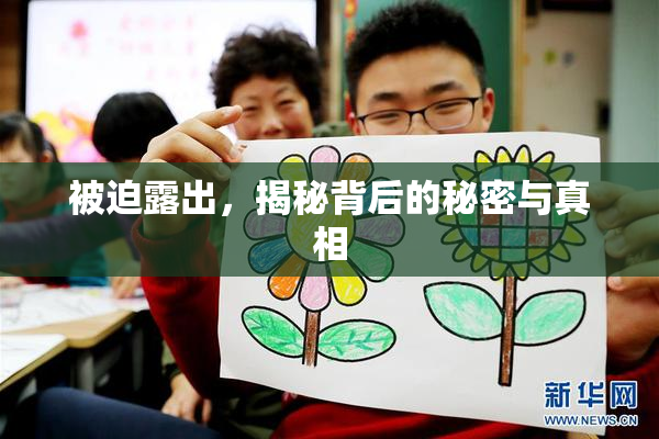 被迫露出，揭秘背后的秘密与真相