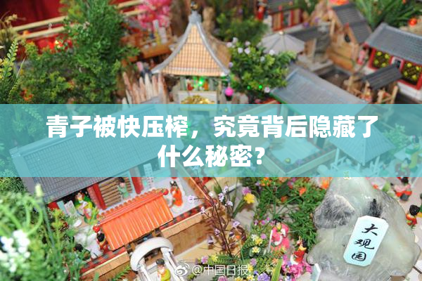 青子被快压榨，究竟背后隐藏了什么秘密？