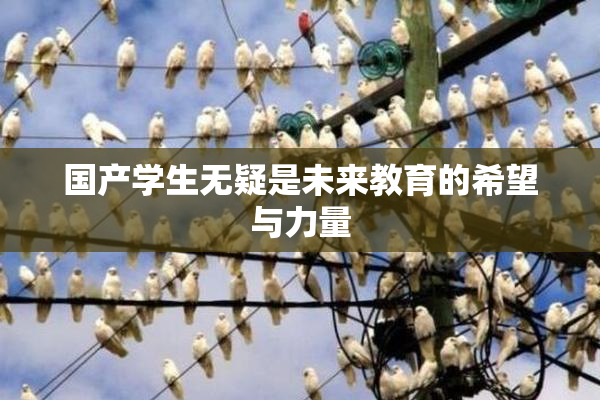国产学生无疑是未来教育的希望与力量