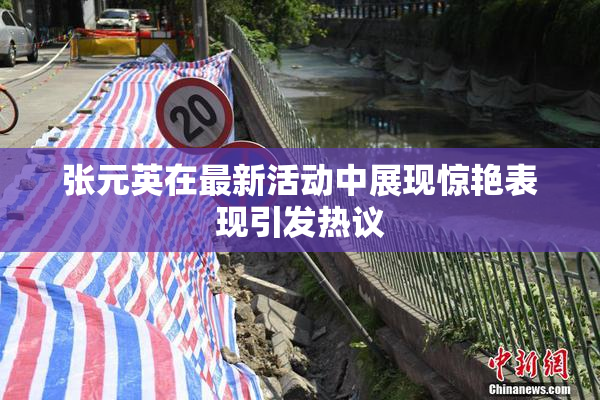 张元英在最新活动中展现惊艳表现引发热议