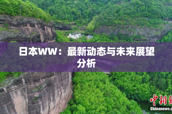 日本WW：最新动态与未来展望分析