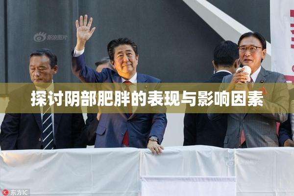 探讨阴部肥胖的表现与影响因素