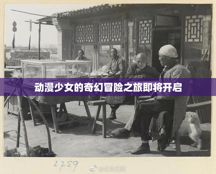动漫少女的奇幻冒险之旅即将开启