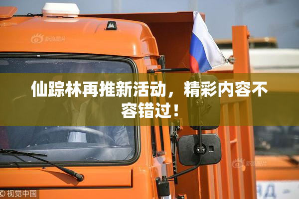 仙踪林再推新活动，精彩内容不容错过！