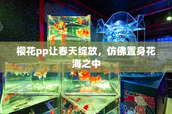 樱花pp让春天绽放，仿佛置身花海之中