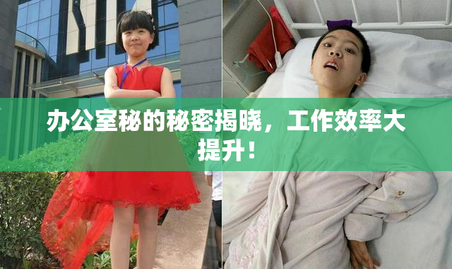 办公室秘的秘密揭晓，工作效率大提升！