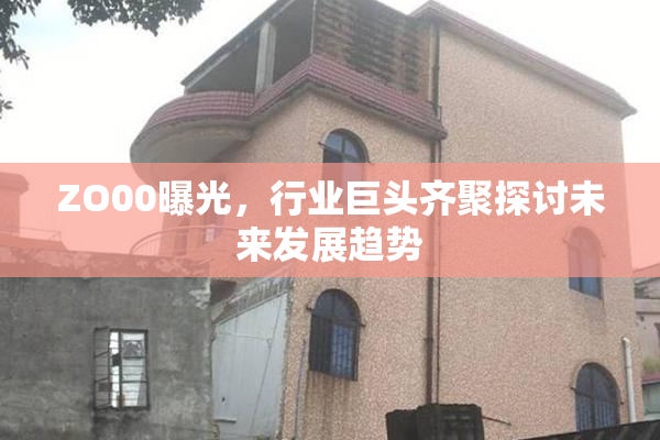 ZO00曝光，行业巨头齐聚探讨未来发展趋势
