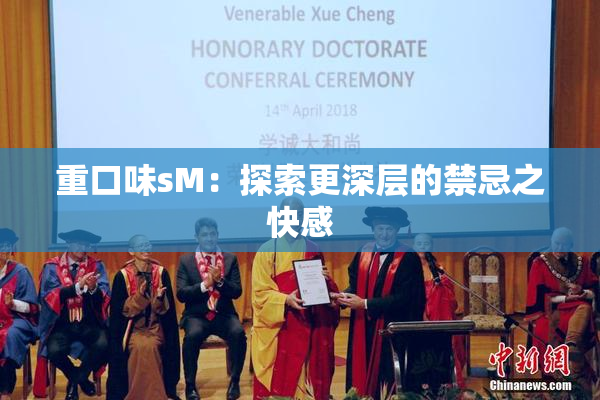 重口味sM：探索更深层的禁忌之快感