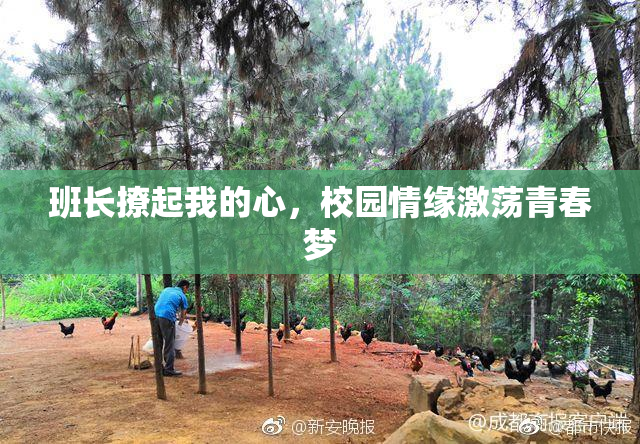 班长撩起我的心，校园情缘激荡青春梦