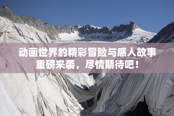 动画世界的精彩冒险与感人故事重磅来袭，尽情期待吧！