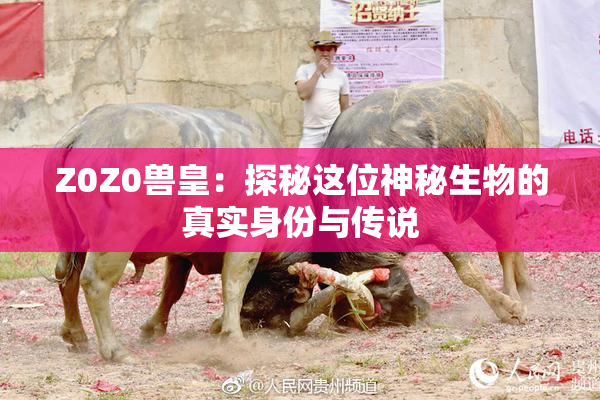Z0Z0兽皇：探秘这位神秘生物的真实身份与传说