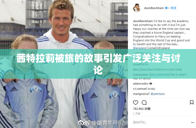 茜特拉莉被旅的故事引发广泛关注与讨论