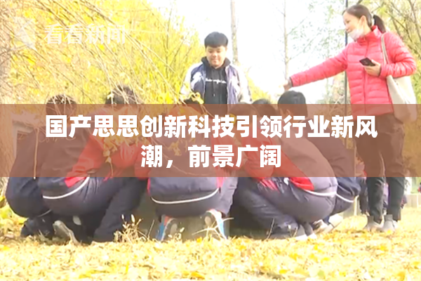 国产思思创新科技引领行业新风潮，前景广阔