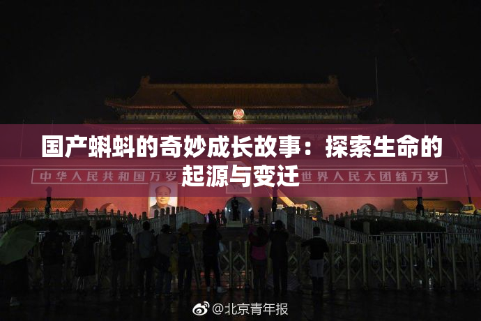 国产蝌蚪的奇妙成长故事：探索生命的起源与变迁