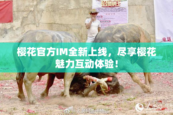 樱花官方IM全新上线，尽享樱花魅力互动体验！