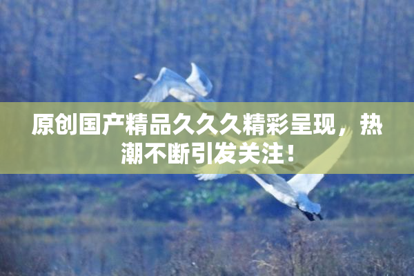 原创国产精品久久久精彩呈现，热潮不断引发关注！