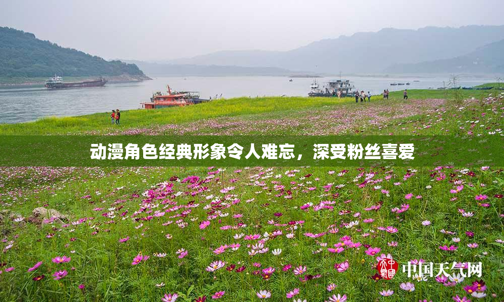 动漫角色经典形象令人难忘，深受粉丝喜爱