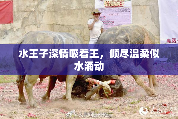 水王子深情吸着王，倾尽温柔似水涌动