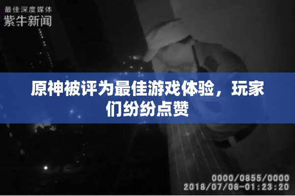 原神被评为最佳游戏体验，玩家们纷纷点赞