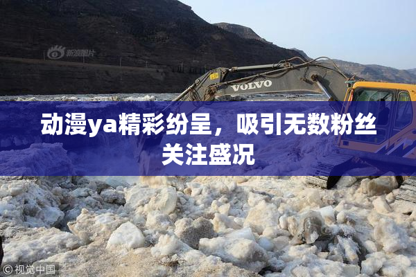 动漫ya精彩纷呈，吸引无数粉丝关注盛况