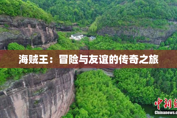 海贼王：冒险与友谊的传奇之旅