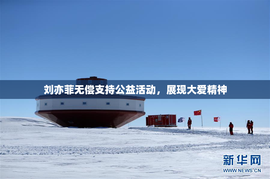 刘亦菲无偿支持公益活动，展现大爱精神