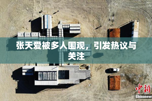 张天爱被多人围观，引发热议与关注