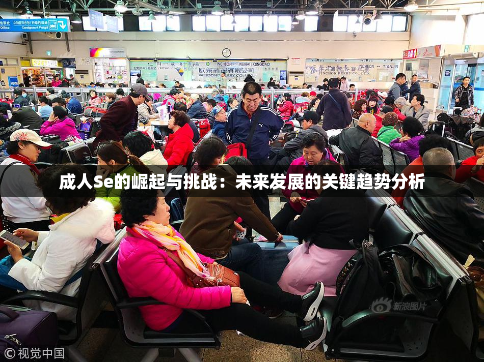 成人Se的崛起与挑战：未来发展的关键趋势分析