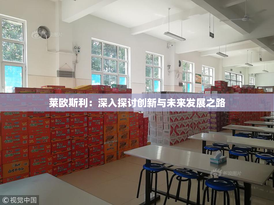 莱欧斯利：深入探讨创新与未来发展之路