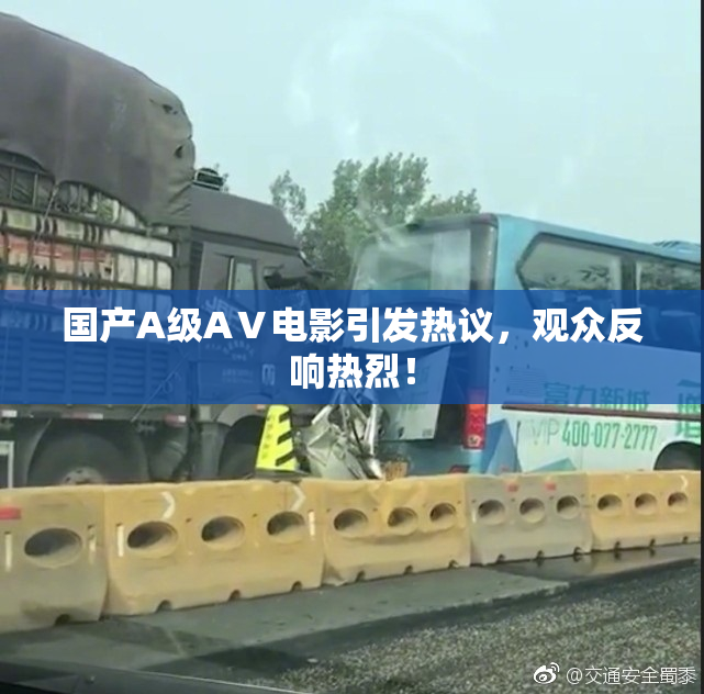 国产A级AⅤ电影引发热议，观众反响热烈！