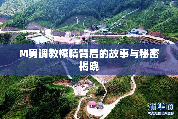 M男调教榨精背后的故事与秘密揭晓