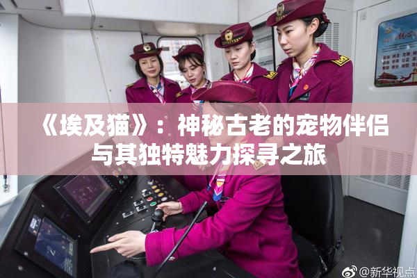 《埃及猫》：神秘古老的宠物伴侣与其独特魅力探寻之旅