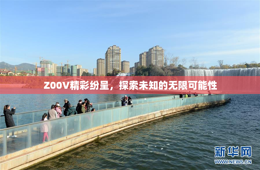 Z00V精彩纷呈，探索未知的无限可能性