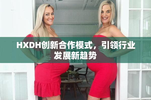 HXDH创新合作模式，引领行业发展新趋势