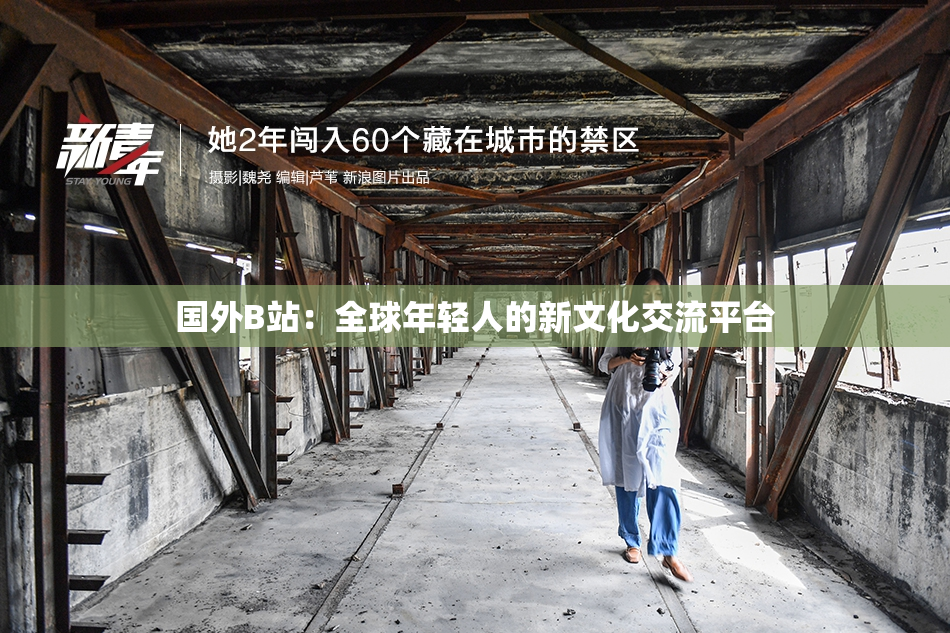 国外B站：全球年轻人的新文化交流平台