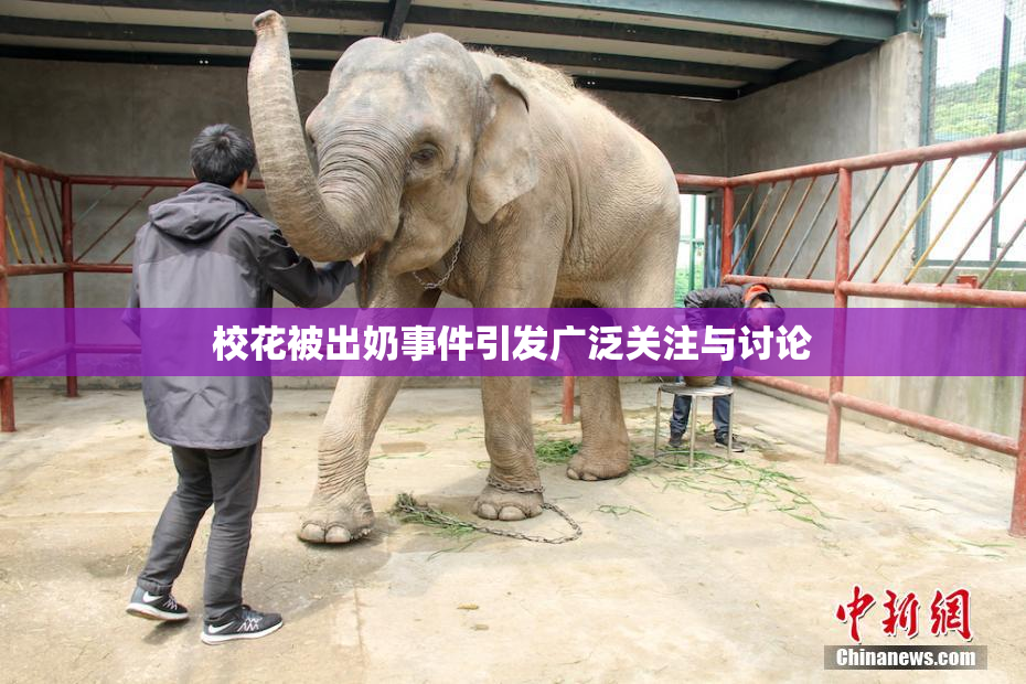 校花被出奶事件引发广泛关注与讨论