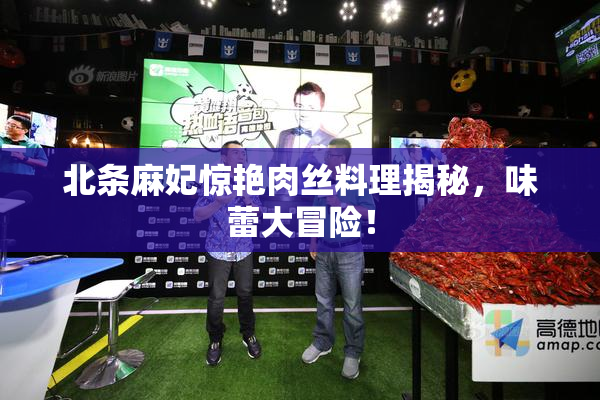 北条麻妃惊艳肉丝料理揭秘，味蕾大冒险！