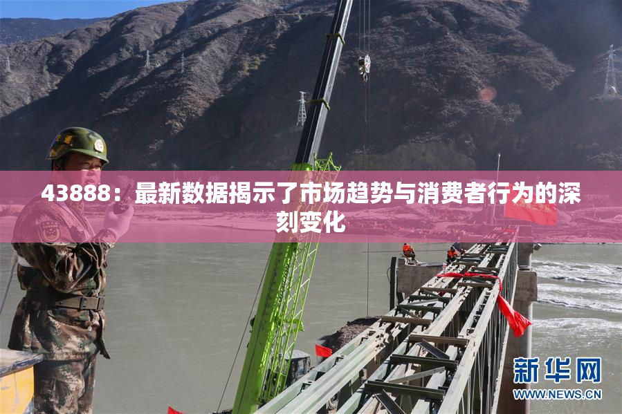 43888：最新数据揭示了市场趋势与消费者行为的深刻变化