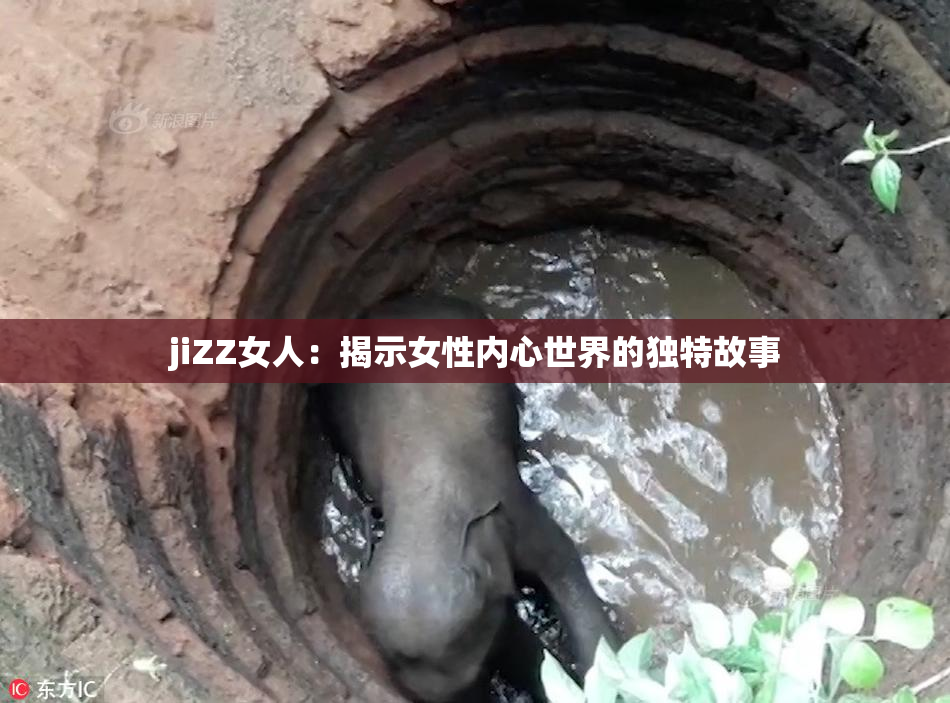 jiZZ女人：揭示女性内心世界的独特故事